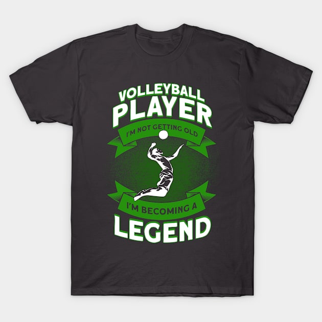 Volleyball Player Sport Volleyball T-Shirt by Toeffishirts